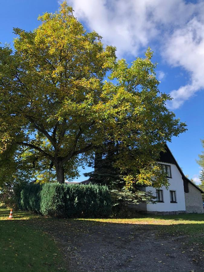 Útulná chaloupka v Krkonoších Vysoké nad Jizerou Exterior foto